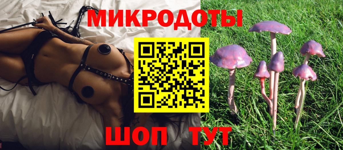 Галлюциногенные грибы Psilocybine cubensis Ярославль