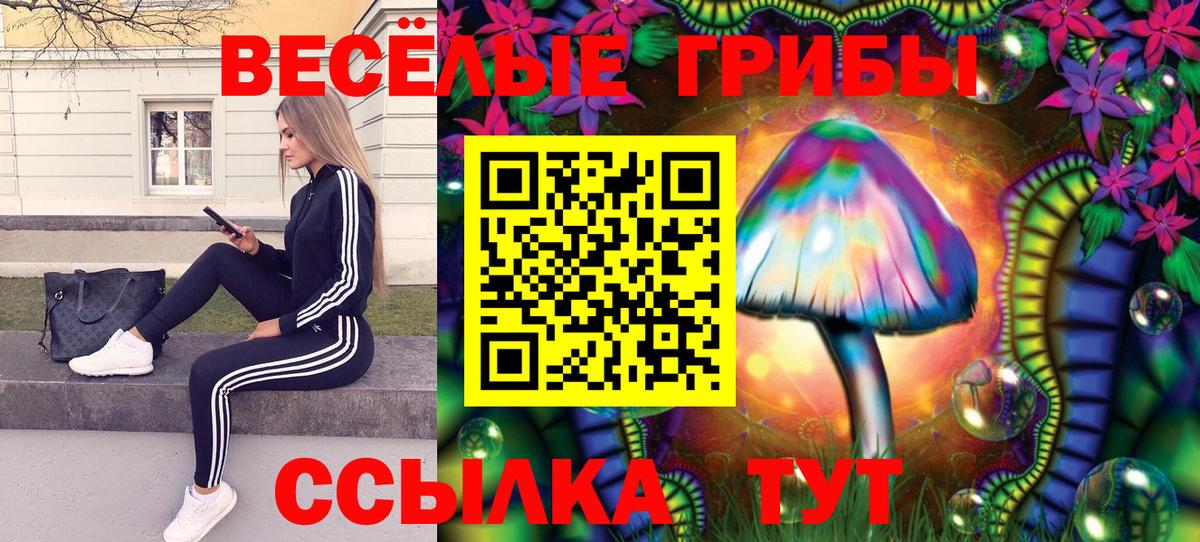 Псилоцибиновые грибы Magic Shrooms  Вход с VPN  Ярославль 